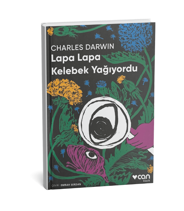 Lapa Lapa Kelebek Yağıyordu Lapa Lapa Kelebek Yağıyordu - Görsel 1