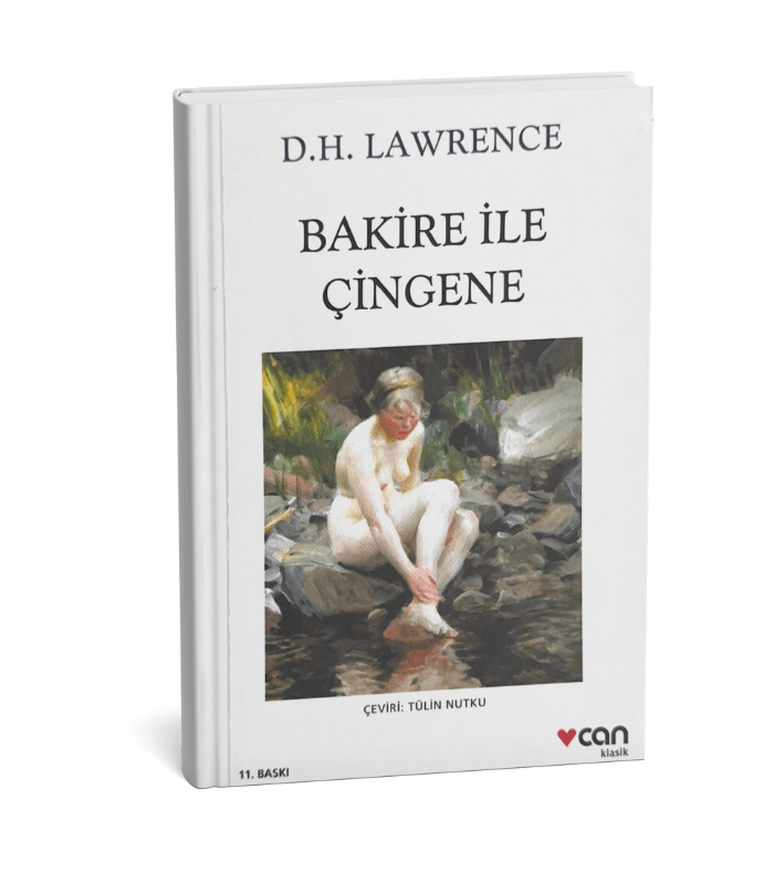 Bakire ile Çingene Bakire ile Çingene - Görsel 1