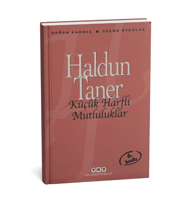 Küçük Harfli Mutluluklar Küçük Harfli Mutluluklar - Görsel 1