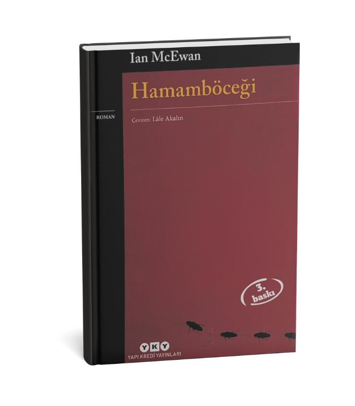 Hamamböceği Hamamböceği - Görsel 1