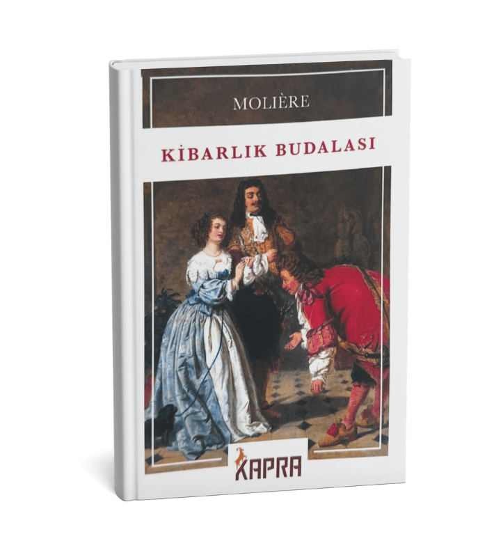 Kibarlık Budalası Kibarlık Budalası - Görsel 1
