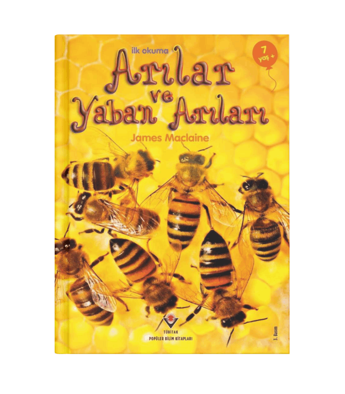 İlk Okuma: Arılar İlk Okuma: Arılar - Görsel 1