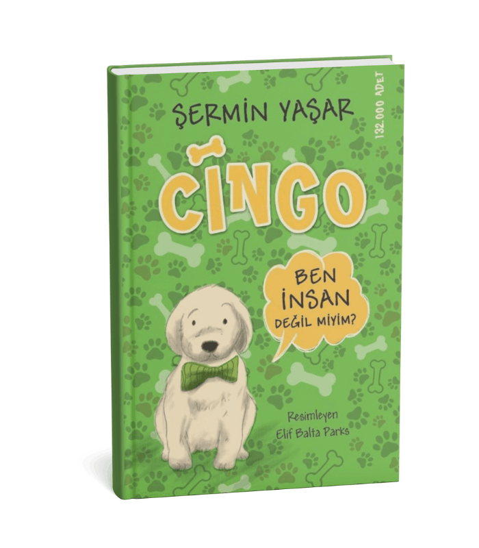 Cingo Cingo - Görsel 1