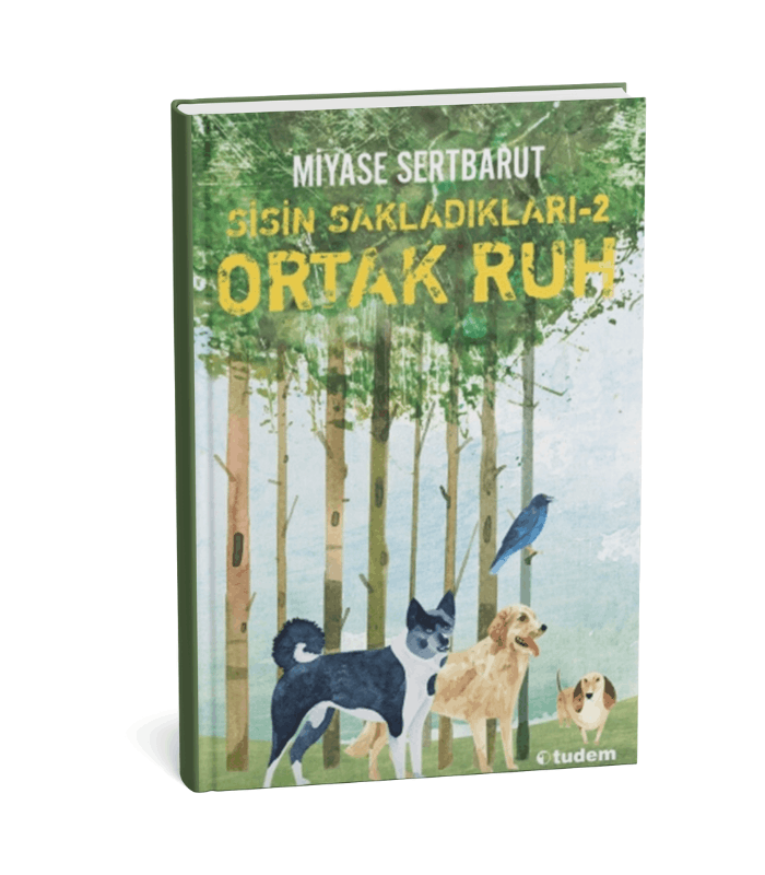 Sisin Sakladıkları- 2 Ortak Ruh Sisin Sakladıkları - 2 : Ortak Ruh - Görsel 1