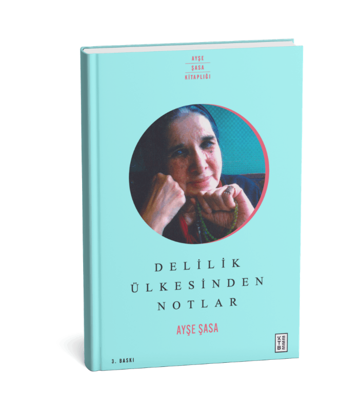 Delilik Ülkesinden Notlar Delilik Ülkesinden Notlar - Görsel 1
