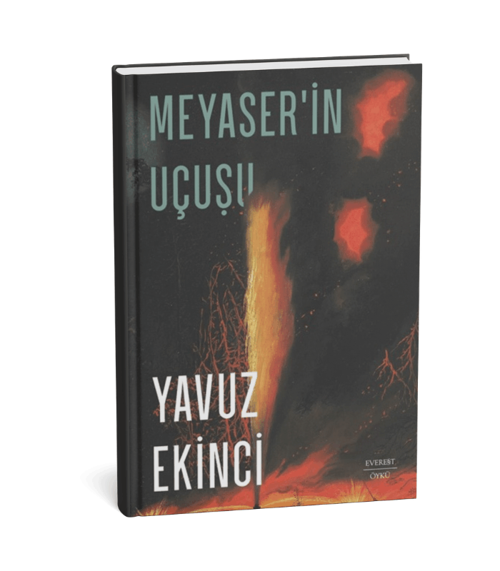 Meyaser'in Uçuşu Yavuz Ekinci EVEREST YAYINLARI Meyaser'in Uçuşu - Görsel 1